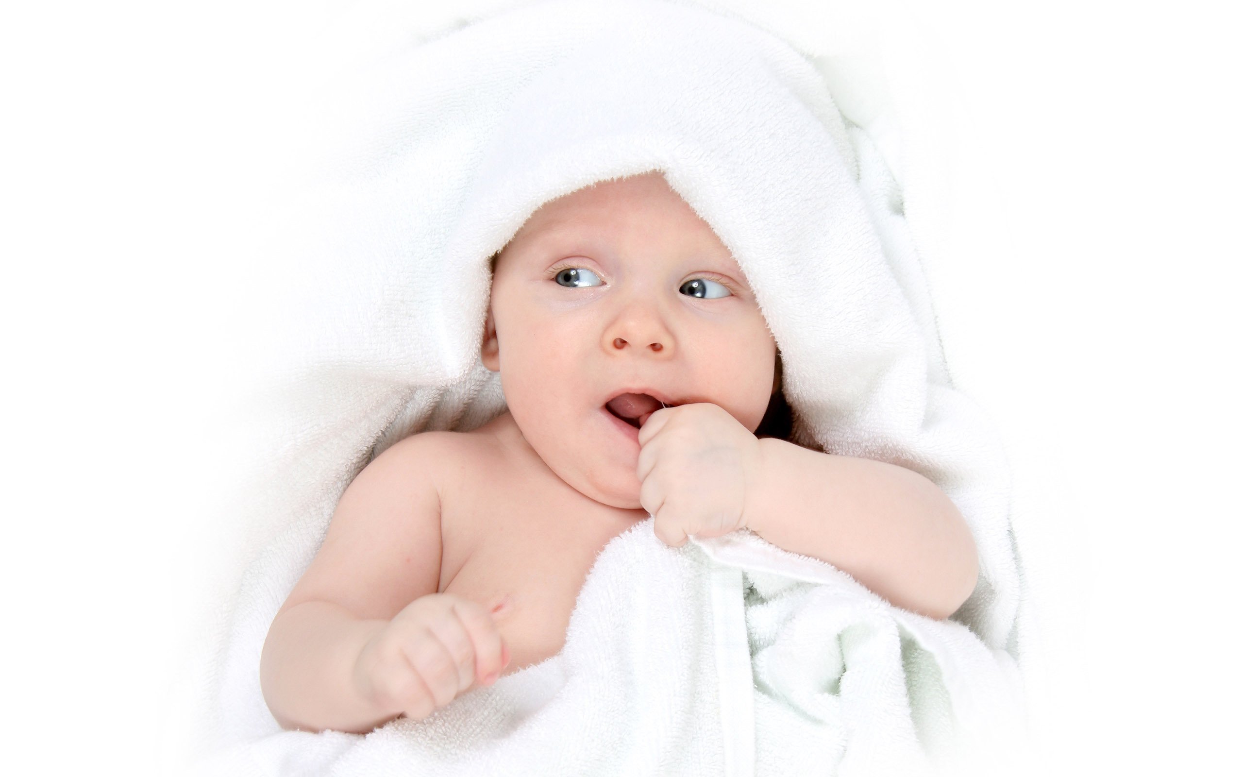 助孕供卵试管婴儿冻囊胚成功率